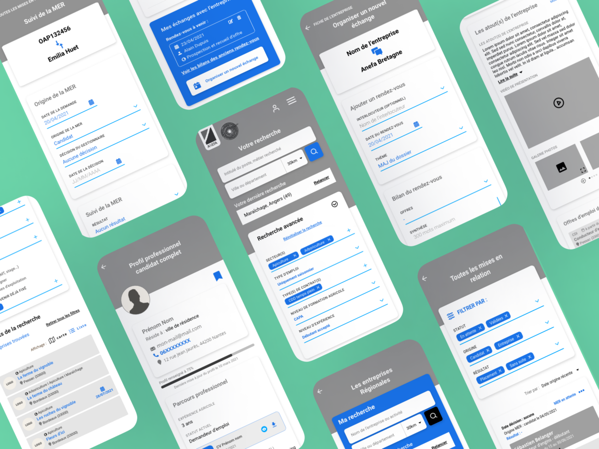 wireframes-anefa
